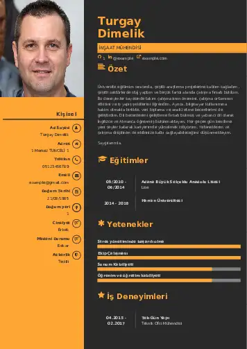 İnşaat Mühendisi Cv Örnekleri cv indir